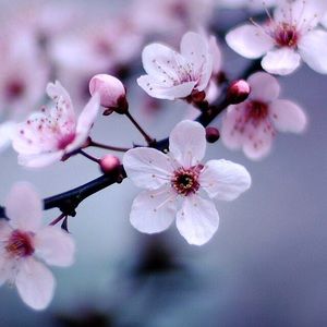 Meet your Posher, Charlee